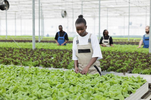 Quelles sont les méthodes efficaces pour gérer les fringales sucrées dues au stress ?